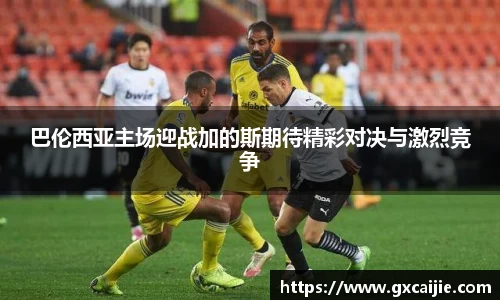 华体会平台