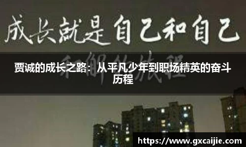 贾诚的成长之路：从平凡少年到职场精英的奋斗历程