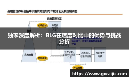 独家深度解析：BLG在速度对比中的优势与挑战分析