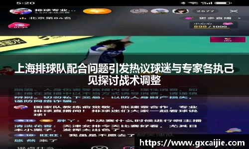 上海排球队配合问题引发热议球迷与专家各执己见探讨战术调整