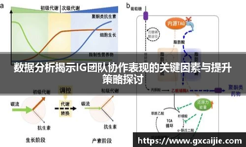 数据分析揭示IG团队协作表现的关键因素与提升策略探讨